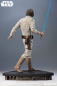 Preview: Luke Skywalker Premium Format