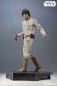 Preview: Luke Skywalker Premium Format