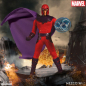 Preview: Magneto One:12