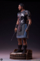 Preview: Maximus Decimus Meridius Statue 1/3 Epic Series, Gladiator, 66 cm