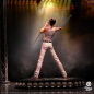 Preview: Freddie Mercury