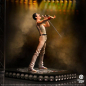 Preview: Freddie Mercury