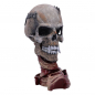 Preview: Pushead Skull Statue, Metallica, 24 cm