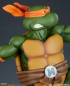 Preview: Michelangelo