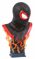 Preview: Miles Morales