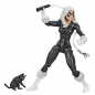 Preview: Black Cat