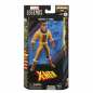 Preview: X-Men Actionfiguren Marvel Legends Wave (Ch'od BAF), 15 cm