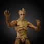 Preview: Groot Evolution