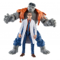 Preview: Gray Hulk & Dr. Bruce Banner Actionfiguren-Doppelpack Marvel Legends, Avengers 60th Anniversary, 15 cm