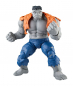 Preview: Gray Hulk & Dr. Bruce Banner Actionfiguren-Doppelpack Marvel Legends, Avengers 60th Anniversary, 15 cm