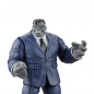 Preview: Joe Fixit Action Figure Marvel Legends Exclusive, The Incredible Hulk, 21 cm