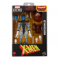 Preview: Marvel Legends Actionfiguren Wave (Nemesis BAF), X-Men, 15 cm