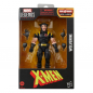 Preview: Marvel Legends Actionfiguren Wave (Nemesis BAF), X-Men, 15 cm