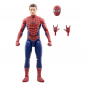 Preview: Spider-Man Action Figures Marvel Legends, Spider-Man: No Way Home, 15 cm