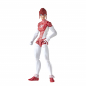 Preview: Spider-Man & Spinneret Actionfiguren-Doppelpack Marvel Legends, The Amazing Spider-Man: Renew Your Vows, 15 cm