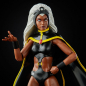 Preview: Storm & Thunderbird