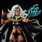 Preview: Storm & Thunderbird