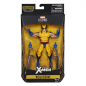 Preview: X-Men Marvel Legends