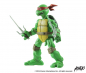 Preview: Raphael 1/6