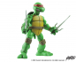 Preview: Raphael 1/6