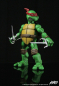 Preview: Raphael 1/6