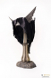 Preview: Mouth of Sauron Art Mask 1/1 Replica, The Lord of the Rings, 65 cm