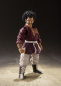 Preview: Mr. Satan S.H.Figuarts