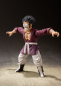 Preview: Mr. Satan S.H.Figuarts