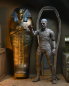 Preview: The Mummy Accessory Pack for Action Figures, Universal Monsters