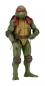 Preview: Raphael 1/4