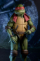 Preview: Raphael 1/4