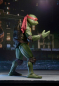 Preview: Raphael 1/4