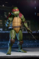 Preview: Raphael 1/4