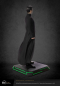 Preview: Neo Premium Statue 1:4 20th Anniversary Edition, Matrix, 53 cm