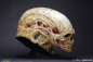 Preview: Newborn Alien Head Lifesize