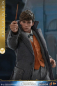 Preview: Newt Scamander Hot Toys