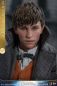 Preview: Newt Scamander Hot Toys