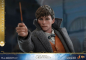 Preview: Newt Scamander Hot Toys