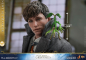 Preview: Newt Scamander Hot Toys