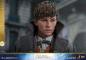 Preview: Newt Scamander Hot Toys