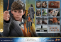 Preview: Newt Scamander Hot Toys