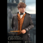 Preview: Newt Scamander