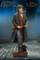 Preview: Newt Scamander