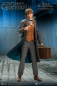 Preview: Newt Scamander