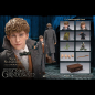 Preview: Newt Scamander