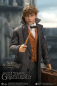 Preview: Newt Scamander