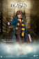 Preview: Newt Scamander