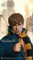 Preview: Newt Scamander