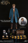 Preview: Newt Scamander