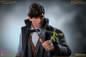 Preview: Newt Scamander